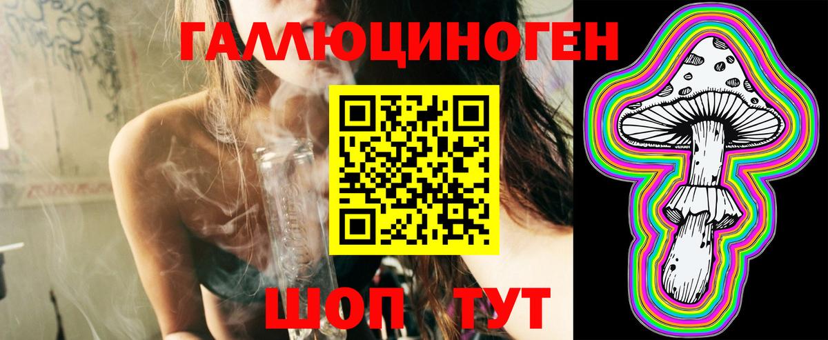 Богородицк  Псилоцибиновые грибы мицелий  Вход с VPN 
