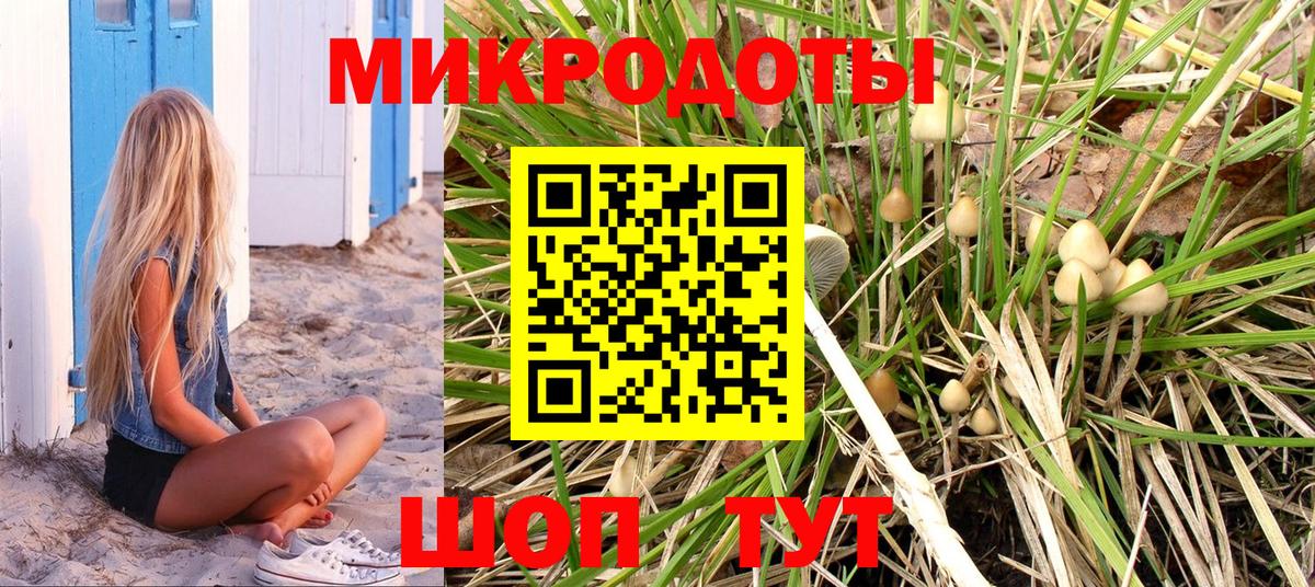 Галлюциногенные грибы ЛСД Богородицк